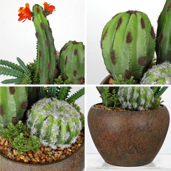 10.4 in. Green Indoor Artificial Plant Succulent and Cactus Set in  Decorative Pot for Home Office Bathroom Decor 59D0303AB21 - The Home Depot