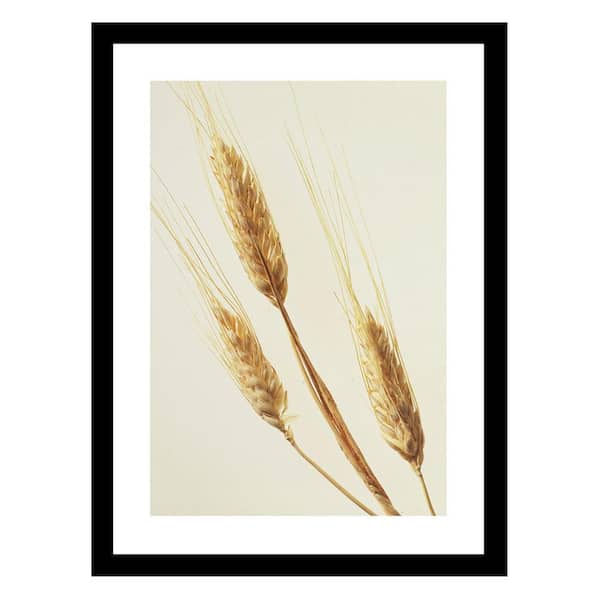 VENICE BEACH Collections Heller Photography Wispy Wheat Framed Printed Photograph by Steven A. Heller Nature Poster Art Print 18 in. x 14 in.