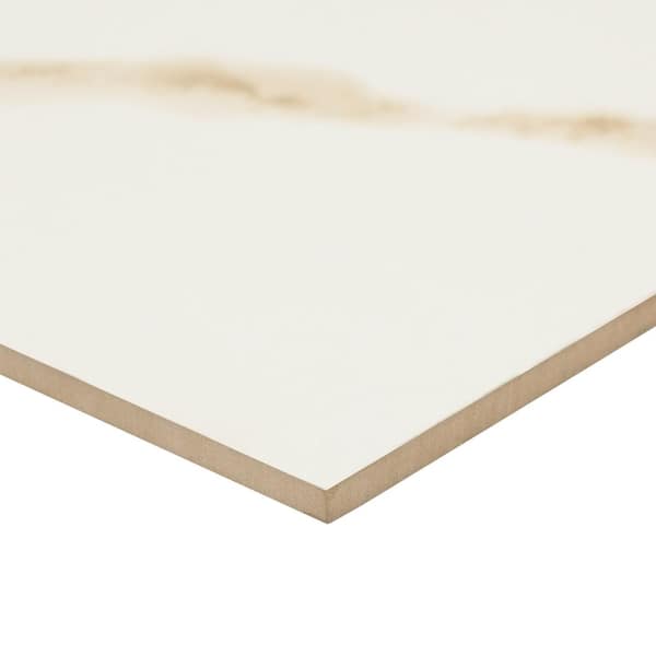 MSI Ader Calacatta 24 in. x 48 in. Polished Porcelain Marble