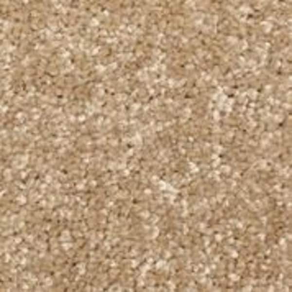 Home Decorators Collection Sycamore I - Mangrove - Brown 45 oz. SD Polyester Texture Installed Carpet
