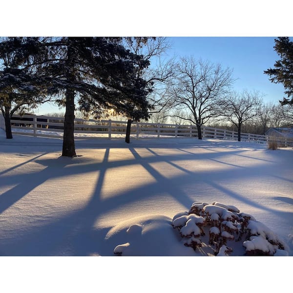 Weatherables 4-Rail Vinyl Ranch Rail Fence Project Pack - 320 ft.