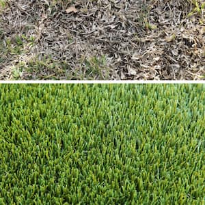 Premium 5 ft. x 13 ft. Green Artificial Grass Rug, Mastiff 45 Cut to Length Turf