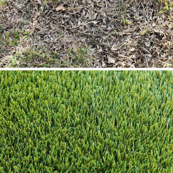 Premium 5 ft. x 13 ft. Green Artificial Grass Rug, Mastiff 45 Cut to Length Turf
