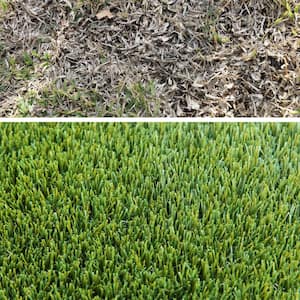 MASTIFF 50 6 ft. x 13 ft. Olive Bi-Color Artificial Grass Rug
