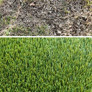 MASTIFF 50 6 ft. x 13 ft. Olive Bi-Color Artificial Grass Rug