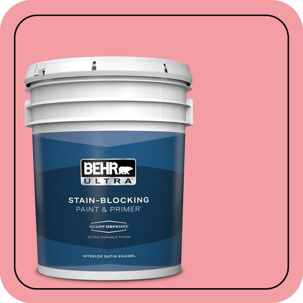 5 gal. #140B-4 Island Coral Extra Durable Satin Enamel Interior Paint & Primer product image for price tracking