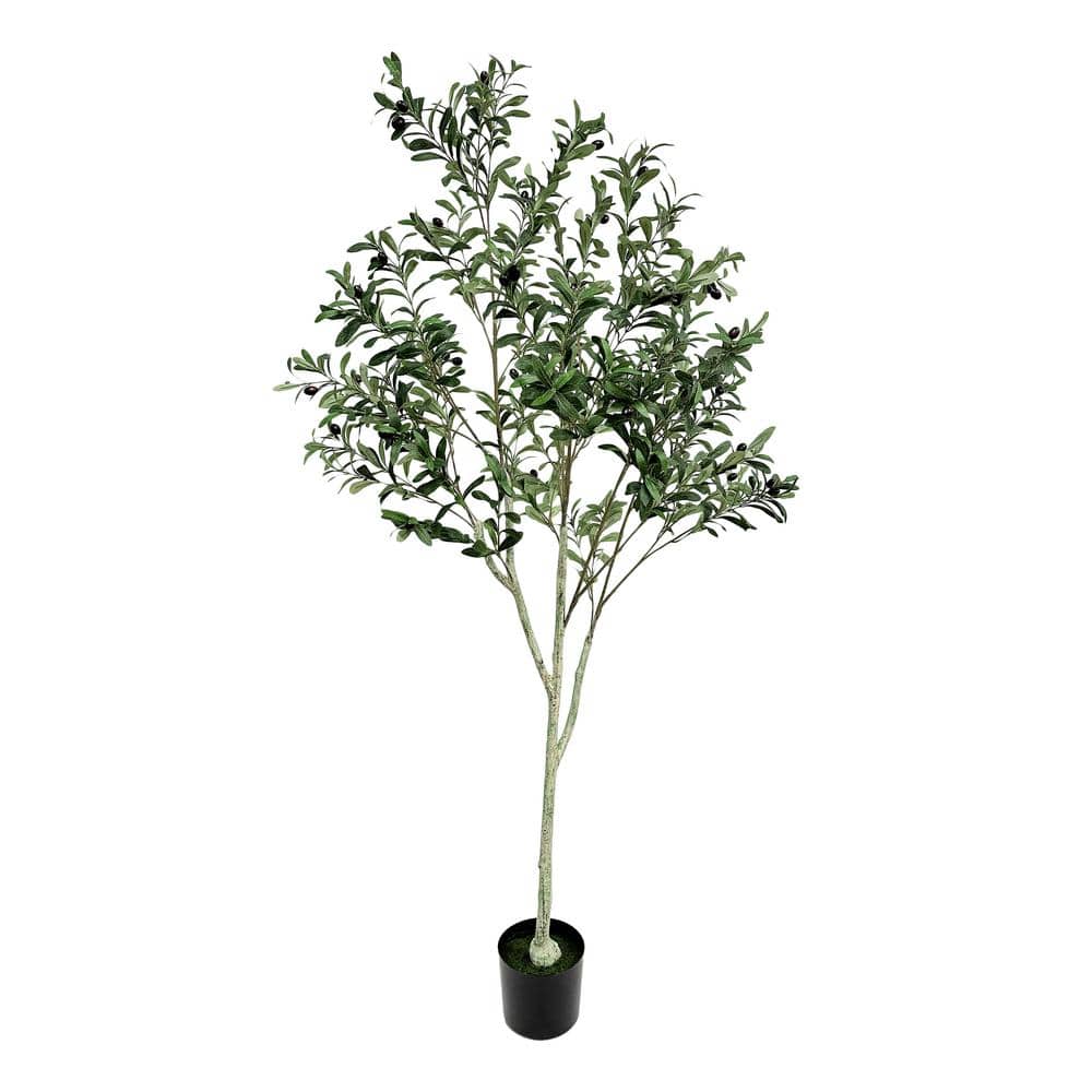 CAPHAUS 5 ft. Green Artificial Olive Tree, Faux Plant in Pot, Faux Olive  Branch and Fruit with Dried Moss for Indoor Home Office HDFT-CHOV6002 - The  Home Depot