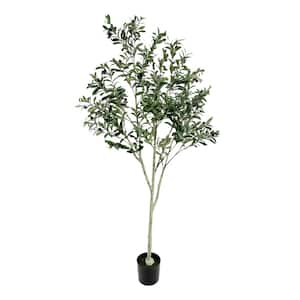 CAPHAUS 6 ft. Green Olive Artificial Tree, Faux Plant in Pot, Faux Olive  Branch and Fruit with Dried Moss for Indoor Home Office HDFT-CHOV7202 - The  Home Depot