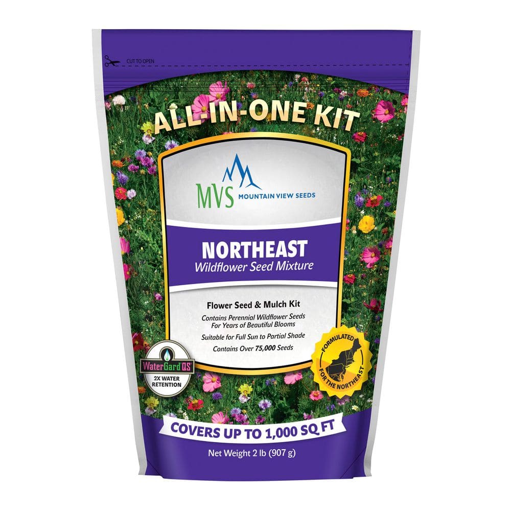Mountain View Seeds Northeast Wildflower Kit 106490 - The Home Depot