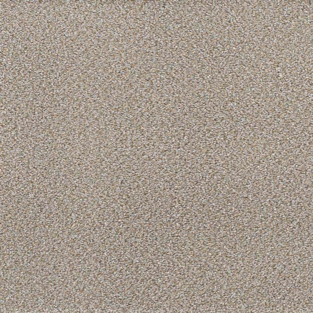 8 in. x  8 in. Texture Carpet Sample - Spicework II -Color Findlay price history on PriceWatchPro
