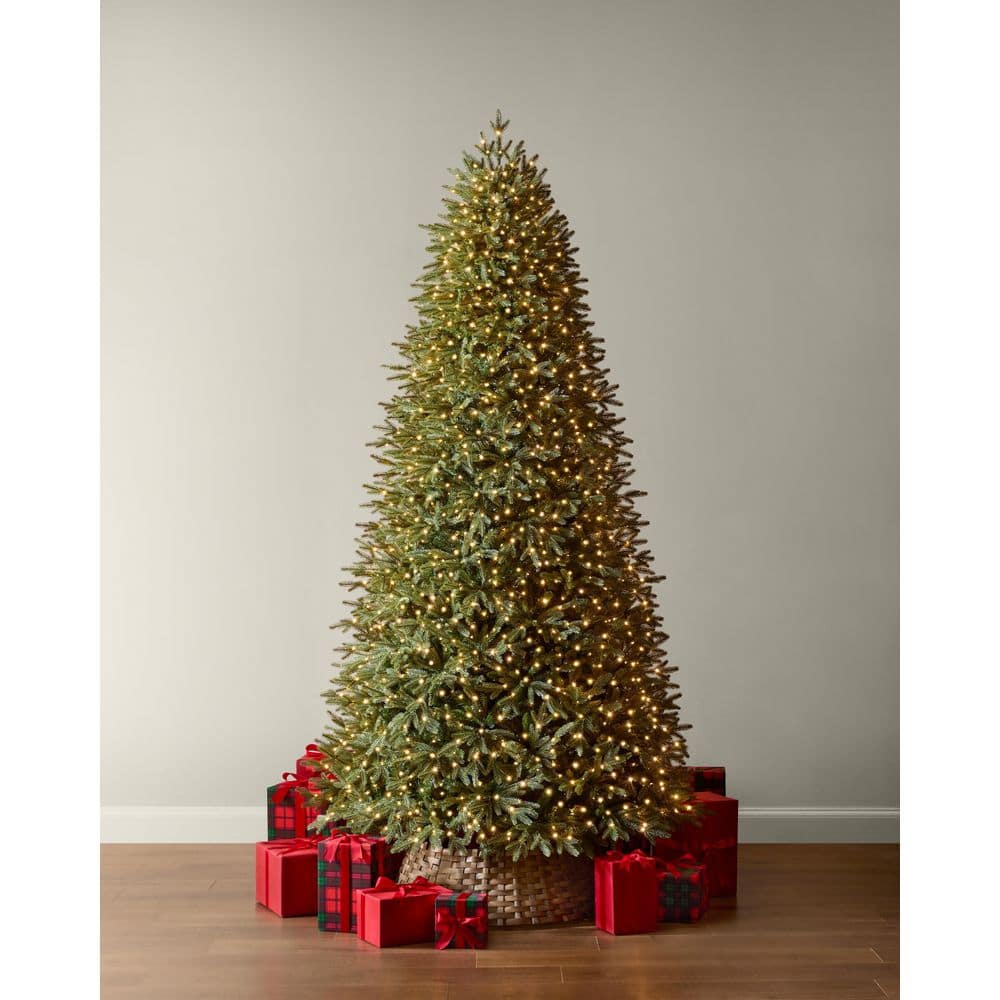 9 ft Jackson Noble Fir LED Pre-Lit Artificial Christmas Tree T24