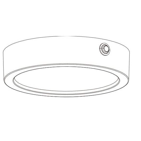 White Glass LED Flush Mount Light for Indoor/Outdoor