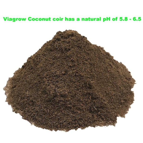 Viagrow 1.4 lbs./650 g Premium Soilless Grow Media Coconut Coir Brick