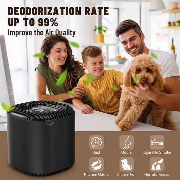 ozone for cigarette smoke Edendirect 1076 sq. ft. 5000mg/h Ion Generator Ozone Generator Odor Removal  in Black with Fan and Timer for Smoke, Car, Pet Room HDCP00
