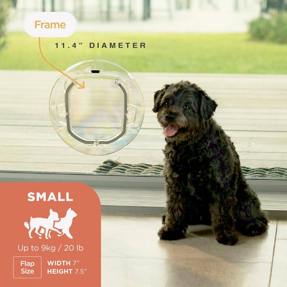 Small Clear Plastic Pet Door with Four-Way Lock