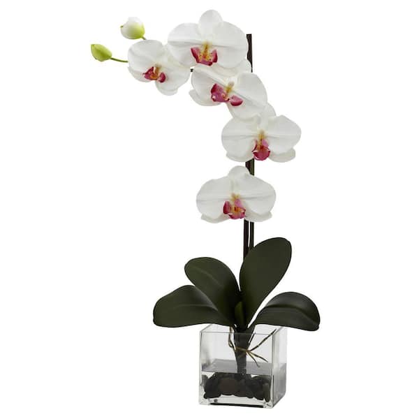 Nearly Natural Giant Phalaenopsis Orchid with Vase Arrangement in White ...