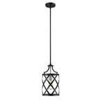 1-Light Matte Black and Brushed Nickel Mini Pendant