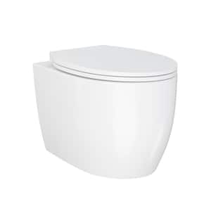 Classe Elongated Wall Hung Toilet Bowl Only In Glossy White