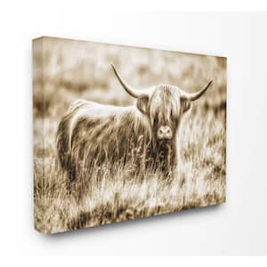 16 in. x 20 in. "Vintage Cow In Pasture Photo" by Villager Jim Canvas Wall Art