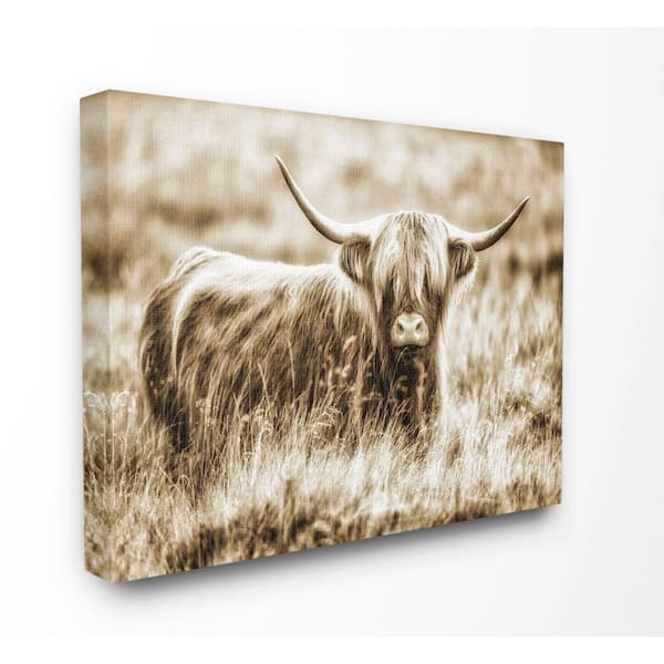 Stupell Industries 16 in. x 20 in. "Vintage Cow In Pasture Photo" by Villager Jim Canvas Wall Art