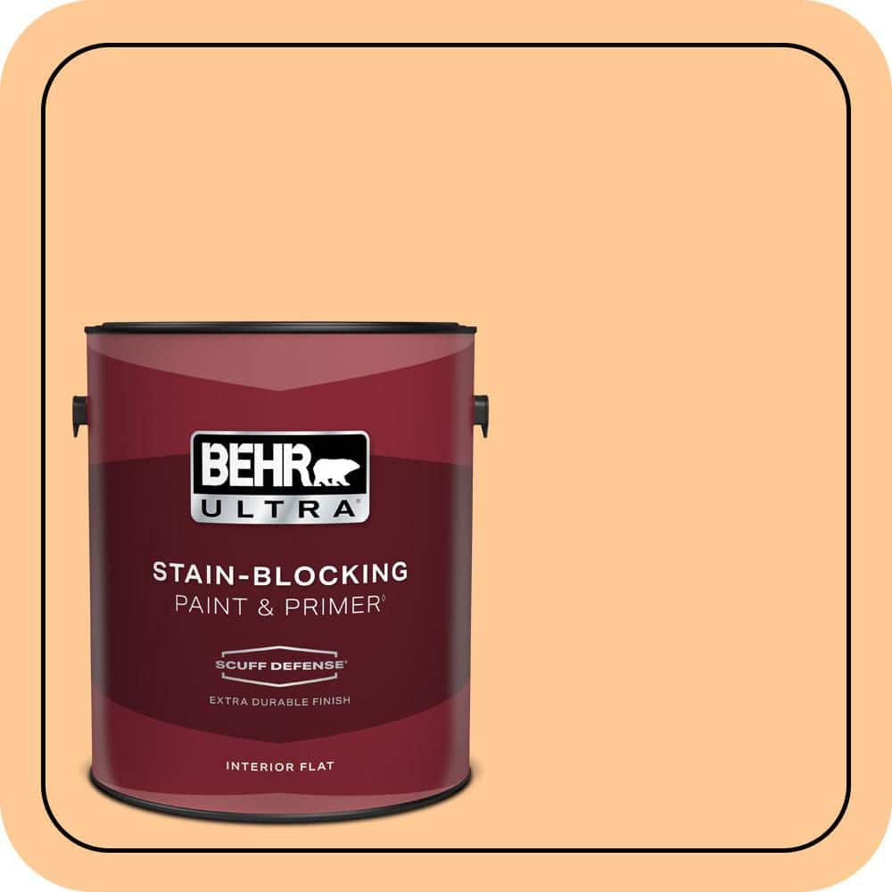 1 gal. #280B-4 Apricot Light Extra Durable Flat Interior Paint & Primer price history on PriceWatchPro