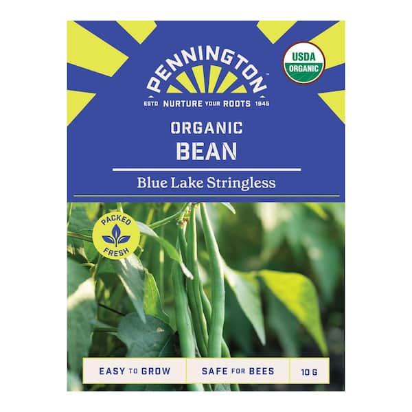 Pennington Organic Bean Blue Lake Stringless Fruit Seed
