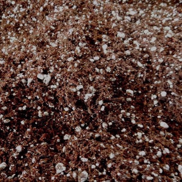 Roots Organics Hydroponic Soilless Gardening Coco Fiber Media Mix (2-Pack)