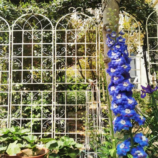 GOGEXX 0.51 in. W x 80 in. L x 87 in. H Metal Arch Garden Trellis Climbing Plant Support Garden Fence Outdoor Weddings (4-Pack)