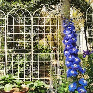 0.51 in. W x 80 in. L x 87 in. H Metal Arch Garden Trellis Climbing Plant Support Garden Fence Outdoor Weddings (4-Pack)
