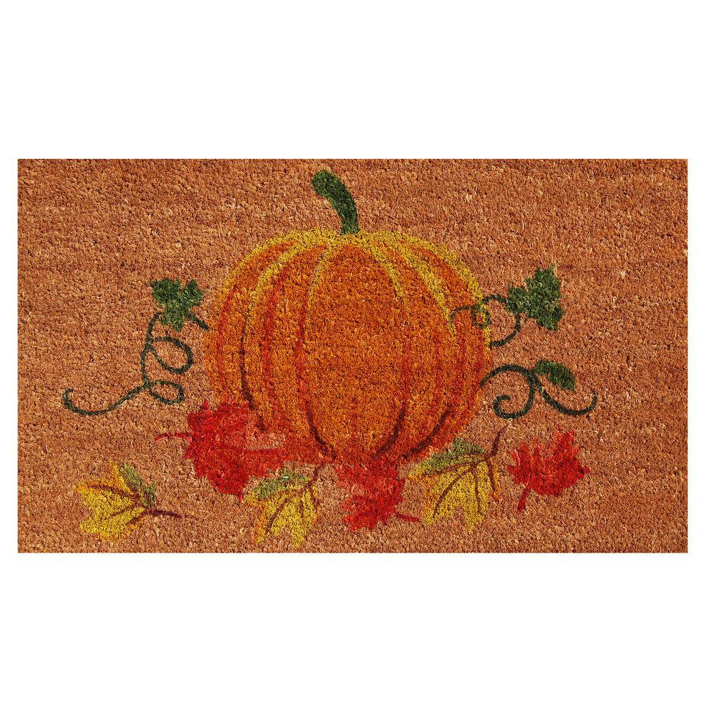 Nature's Bounty 17 in. x 29 in. Coir Door Mat price history on PriceWatchPro
