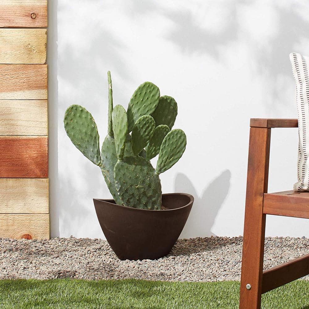 Medium Chocolate Recycled Plastic Oval Planter Pot