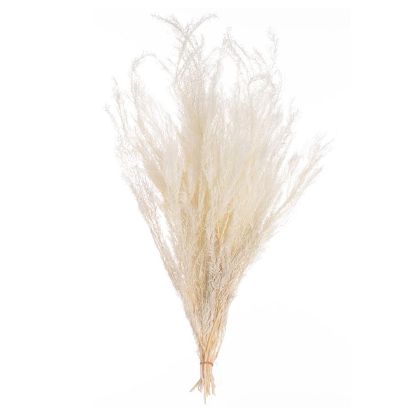 Uniquewise 28'' Real Dried Floral Melaleuca Bracteata Grass Preserved Flowers Vase Fillers for Home Decor, White (Set of 2 Bunches)