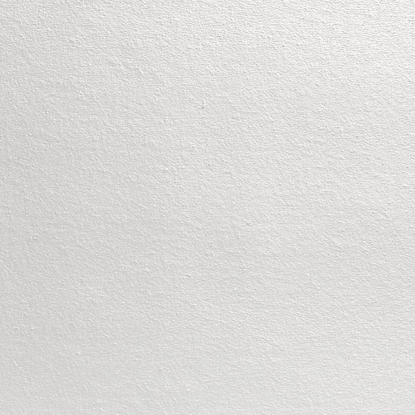 James Hardie Magnolia Home Hardie Soffit HZ10 16 in. x 144 in. Birch Tree Fiber Cement Non-Vented Smooth Soffit