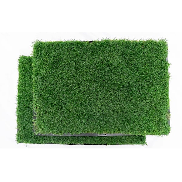 Unbranded Gotta Go Grass with Tray Plus Waste Bag Dispenser Plus Toy Ball Plus Squeaky Toy (2-Pack)