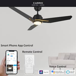Tilbury 56 in. Dimmable LED Indoor/Outdoor Black Smart Ceiling Fan with Light and Remote, Works with Alexa/Google Home