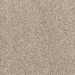 Radiant Retreat III Rustic Brown 73 oz. Polyester Textured Installed Carpet