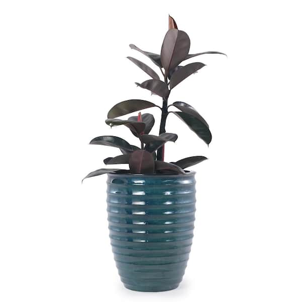 21.26 In. Handmade Sapphire Army Green Ceramic Outdoor Garden Planter for Monstera and Fiddle Leaf Fig, Indoor & Outdoor