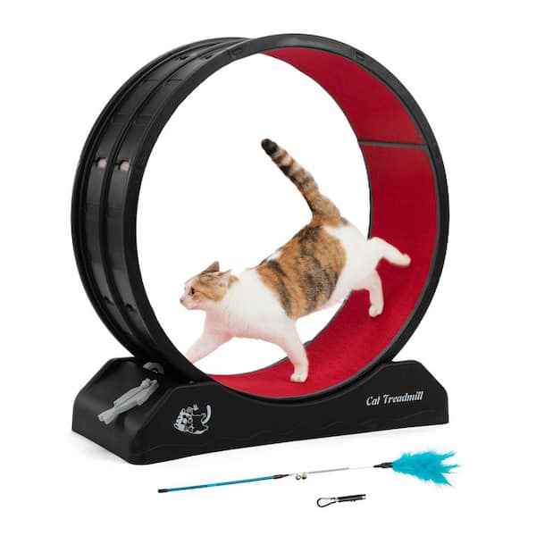 COZIWOW Cat Treadmill Exercise Wheel Lockable, Large
