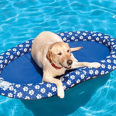 Swim Ways Spring Float Large Paddle Paws