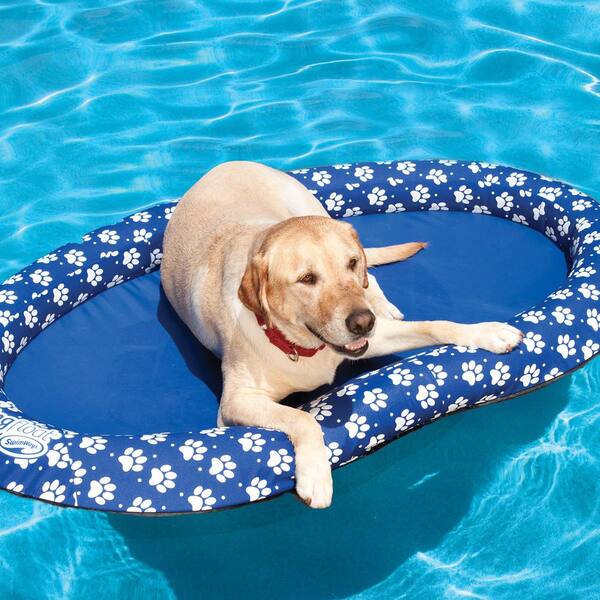 Swim Ways Spring Float Large Paddle Paws 70733 - Diy Pool Float For Dogs