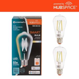 60-Watt Equivalent Smart ST19 Tunable White Clear CEC LED Light Bulb with Voice Control Powered by Hubspace (2-Pack)