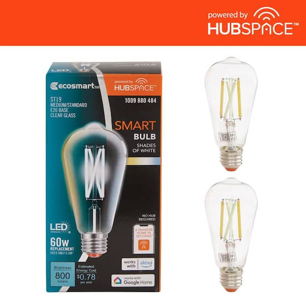 EcoSmart 60-Watt Equivalent Smart ST19 Tunable White Clear CEC LED Light Bulb with Voice Control Powered by Hubspace (2-Pack)