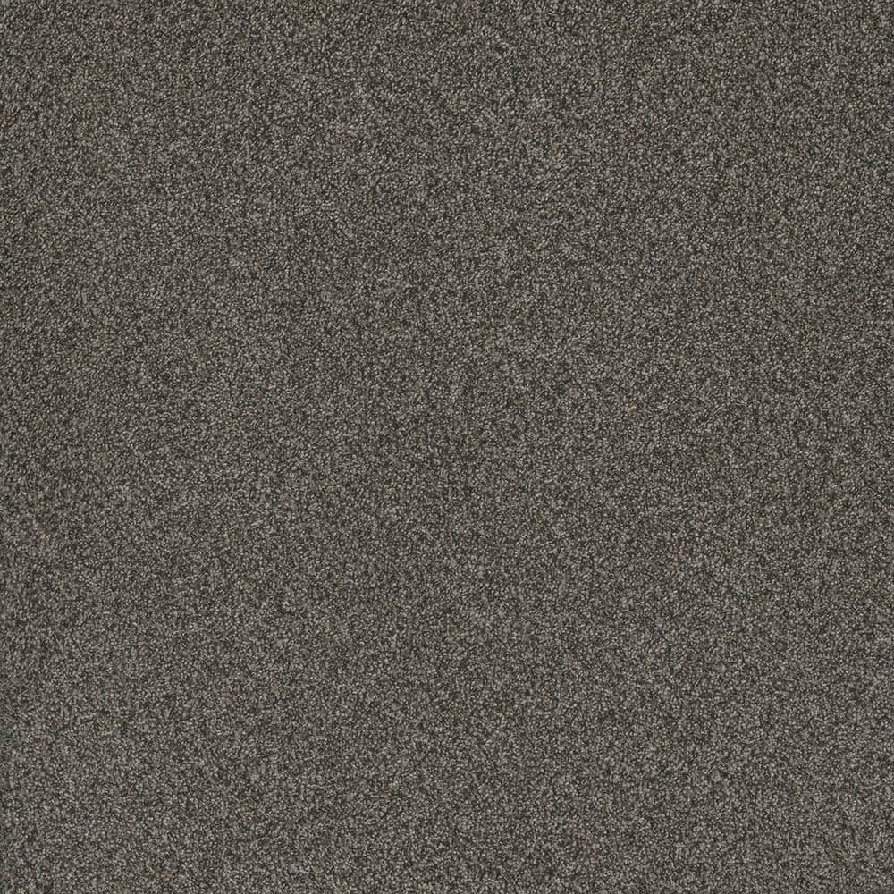8 in. x 8 in. Texture Carpet Sample - Serene Glory II - Color Composed price history on PriceWatchPro