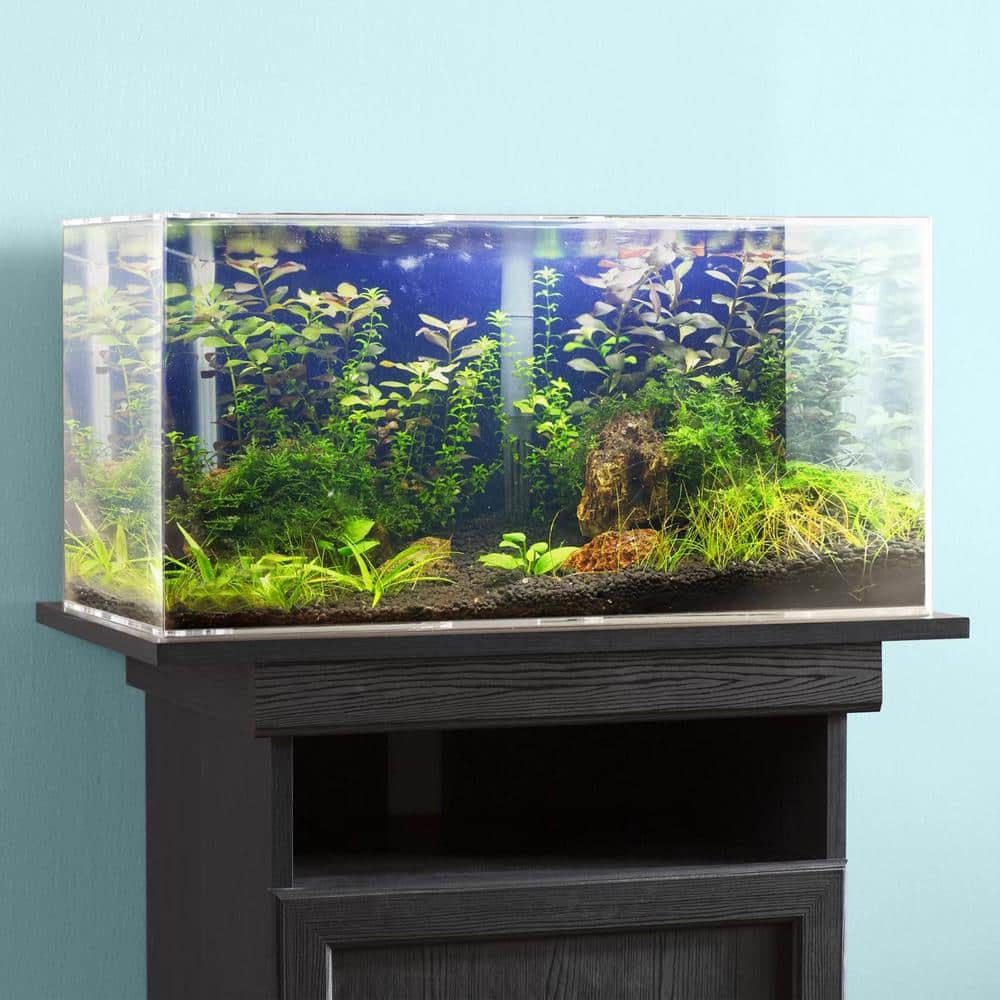 Clear 20x24 Inch Acrylic Sheets for DIY and Home Projects