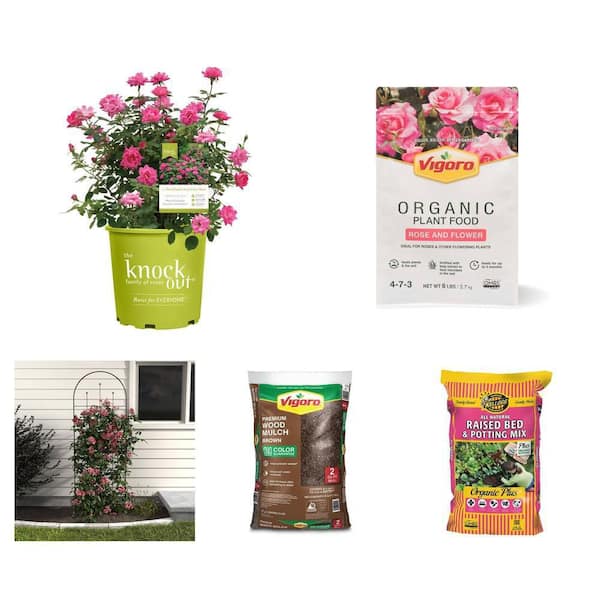 2 Gal. Pink Double Knock Out Rose Bush, 6 lb. Plant Food, 80 in. Trellis, 2 cu. ft. Mulch and Potting Mix Combo