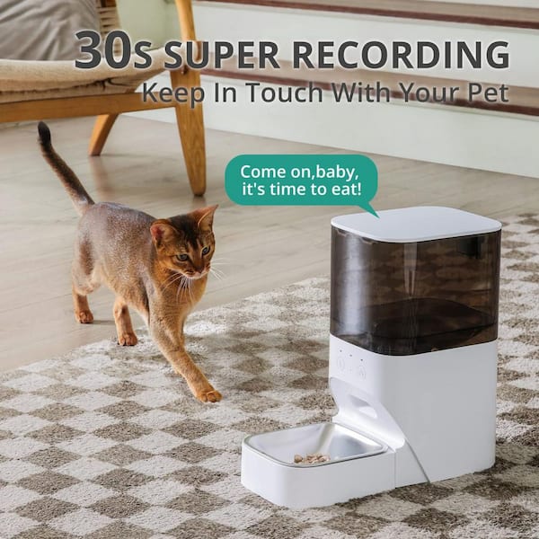 Timed food dispenser hotsell