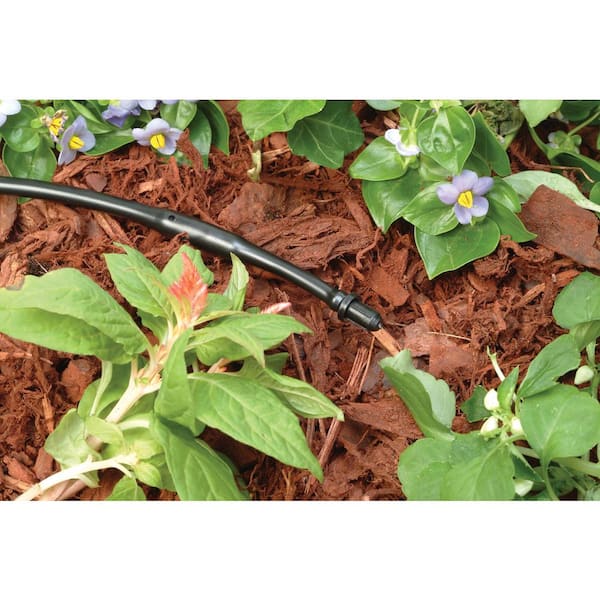 1/4 in. Closure Goof Plugs for Drip Tubing (10-Pack)