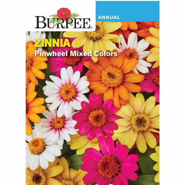 Zinnia Pinwheel Mixed Colors Flower Seed