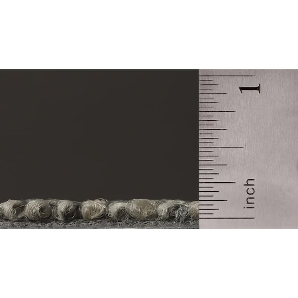 8 in. x 8 in. Textured Loop Carpet Sample - Elite -Color - Egret