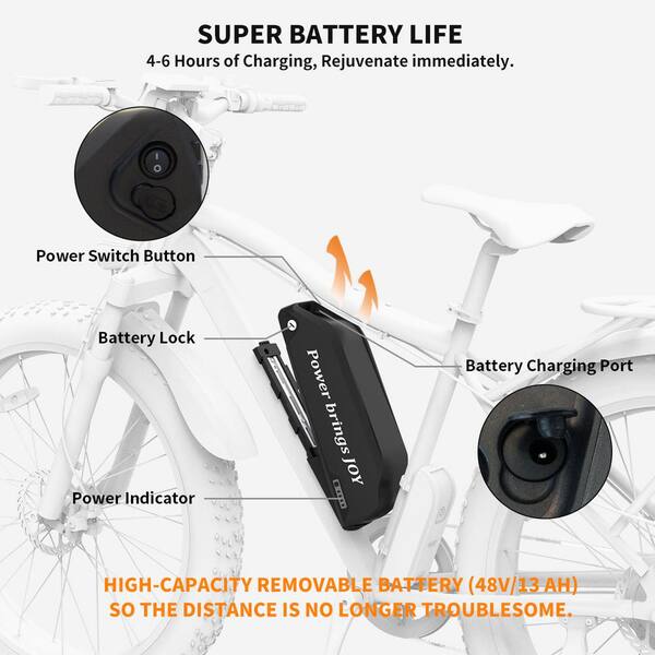 Batterie Lithium-ion Pour Vélo électrique - 24V/48V - 8Ah à 30Ah - Compatible Moteur Jusqu'à 1000W - Chargeur Inclus